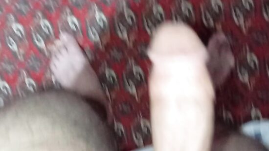 Penis